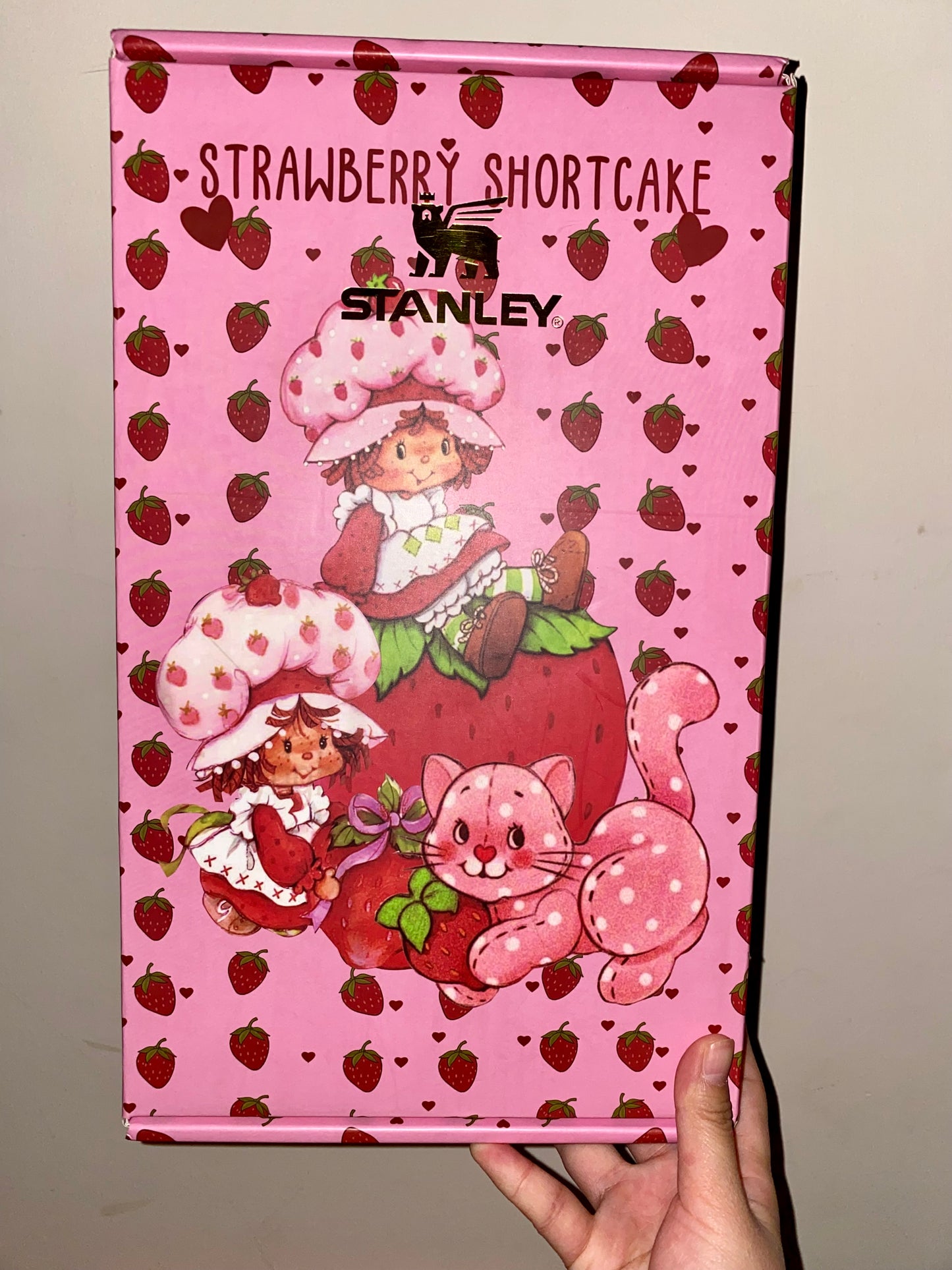 🔥Strawberry Shortcake Insulated 40 0z Tumbler