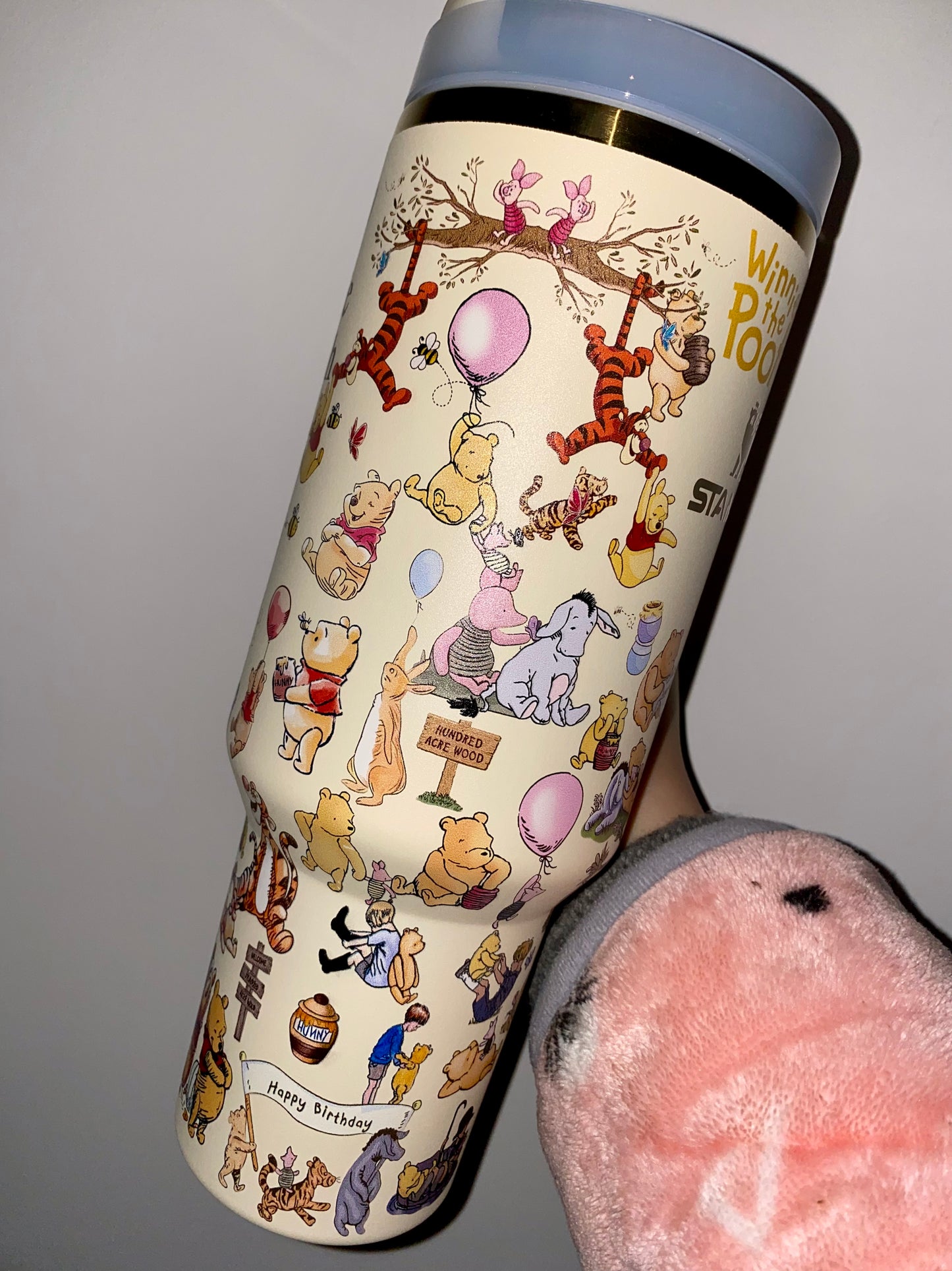 🔥Pooh Insulated Cup Gift Box 40OZ Include Straw and Topper🎁